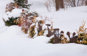 fence covered with snow